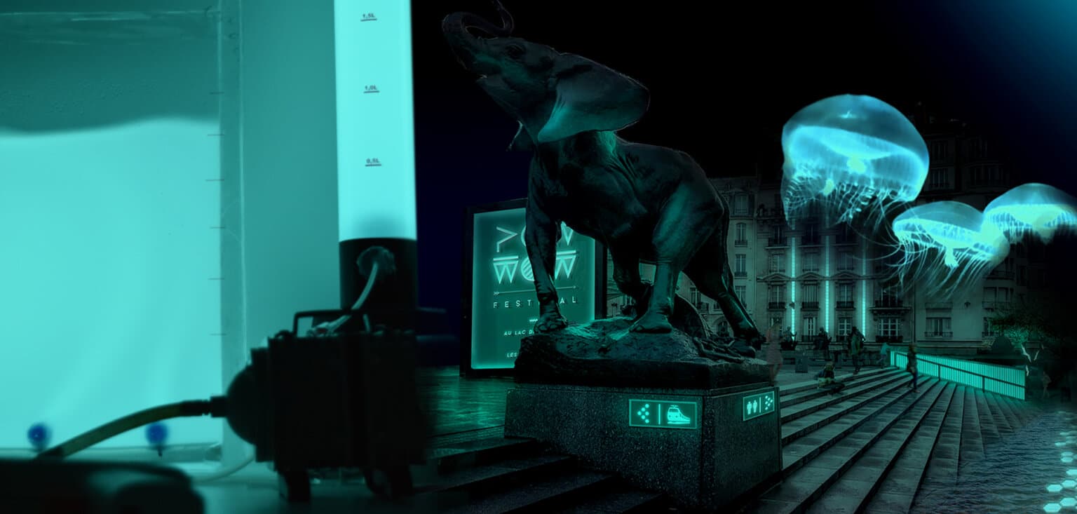 Glowee Glowee : la bioluminescence illumine notre avenir - La fabrique des récits